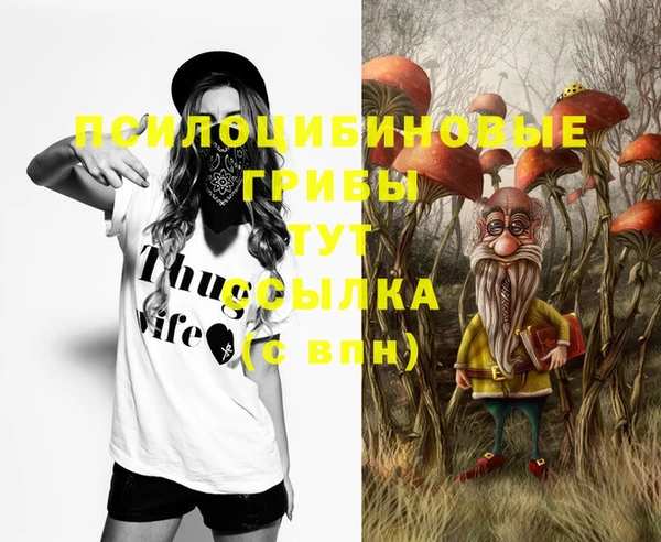 трава Вязьма