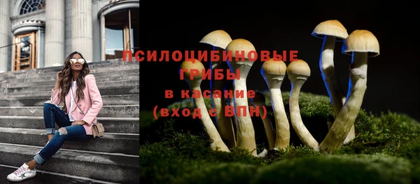 мет Вяземский
