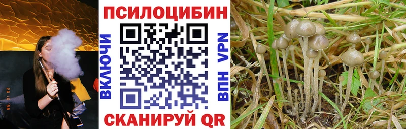 где найти наркотики  Мариинск  Псилоцибиновые грибы MAGIC MUSHROOMS 